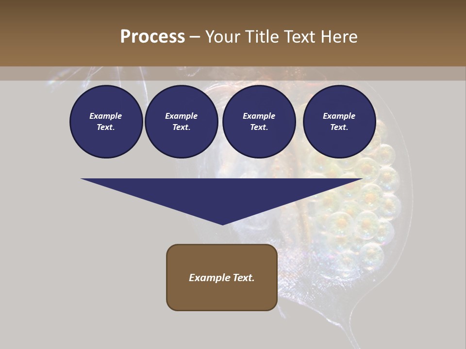 Biology Micro Lesson PowerPoint Template
