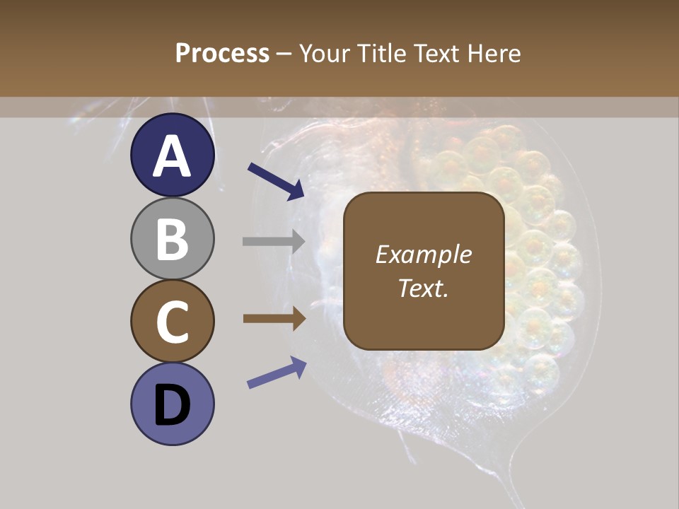 Biology Micro Lesson PowerPoint Template