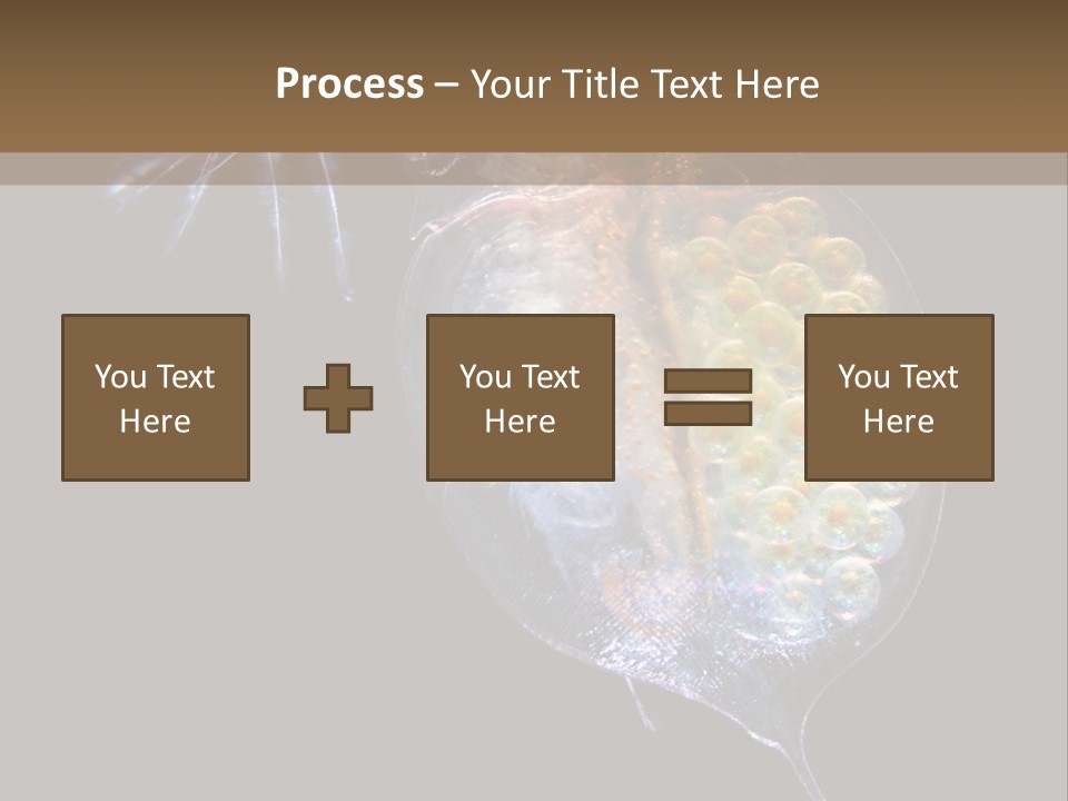 Biology Micro Lesson PowerPoint Template