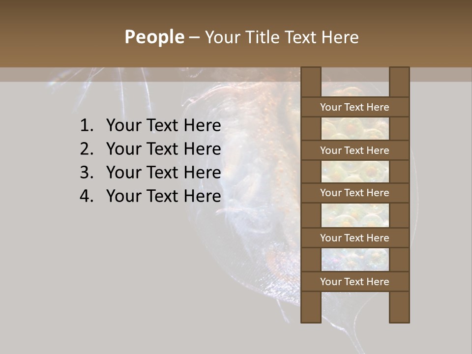 Biology Micro Lesson PowerPoint Template