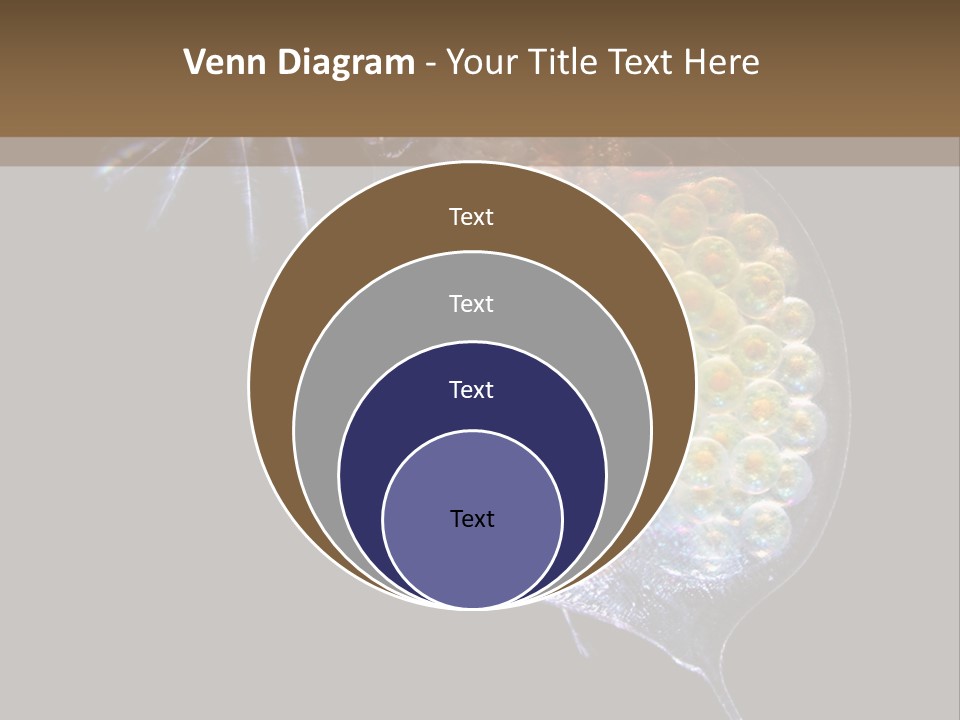 Biology Micro Lesson PowerPoint Template