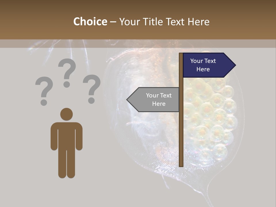 Biology Micro Lesson PowerPoint Template