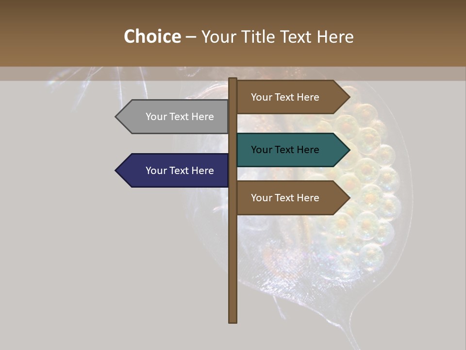 Biology Micro Lesson PowerPoint Template