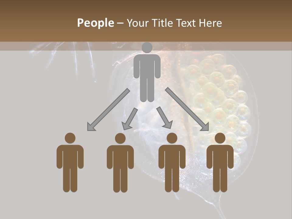 Biology Micro Lesson PowerPoint Template