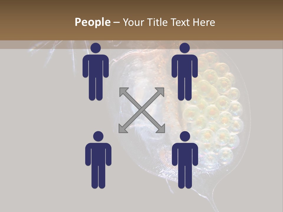 Biology Micro Lesson PowerPoint Template