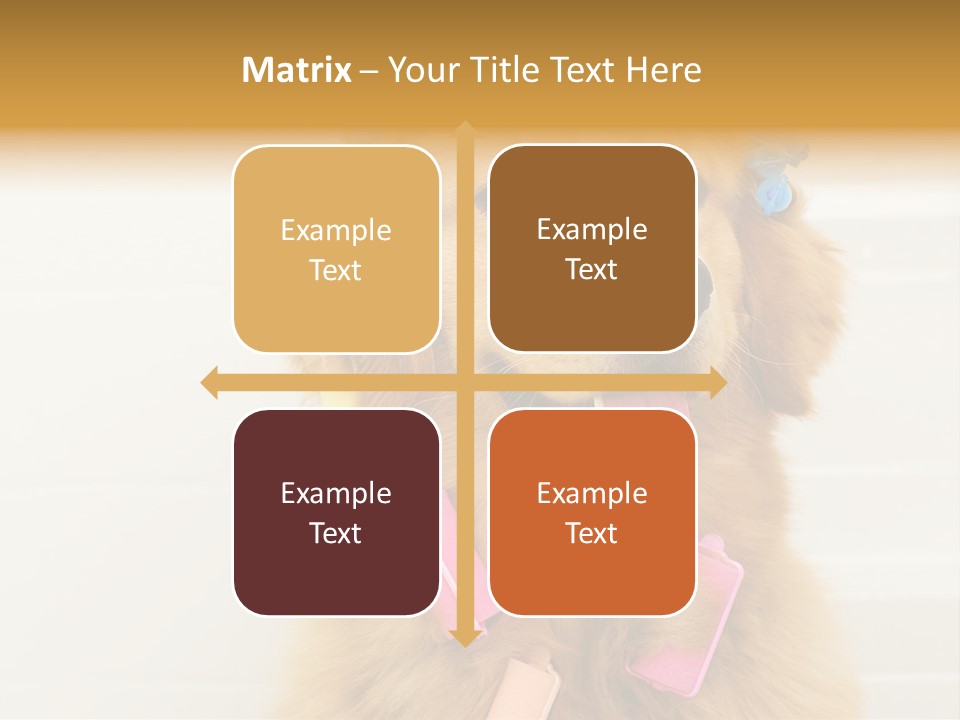 Stylish Tub Attached PowerPoint Template