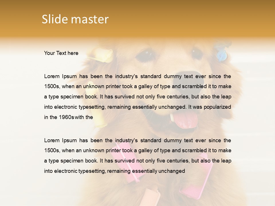 Stylish Tub Attached PowerPoint Template