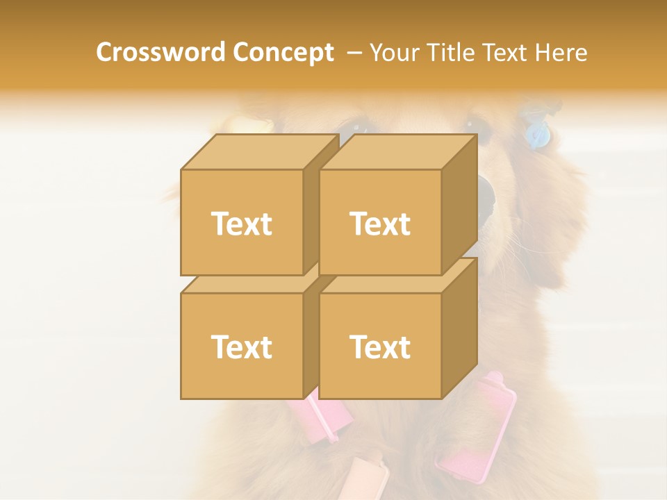 Stylish Tub Attached PowerPoint Template
