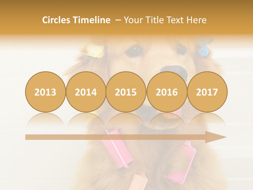 Stylish Tub Attached PowerPoint Template