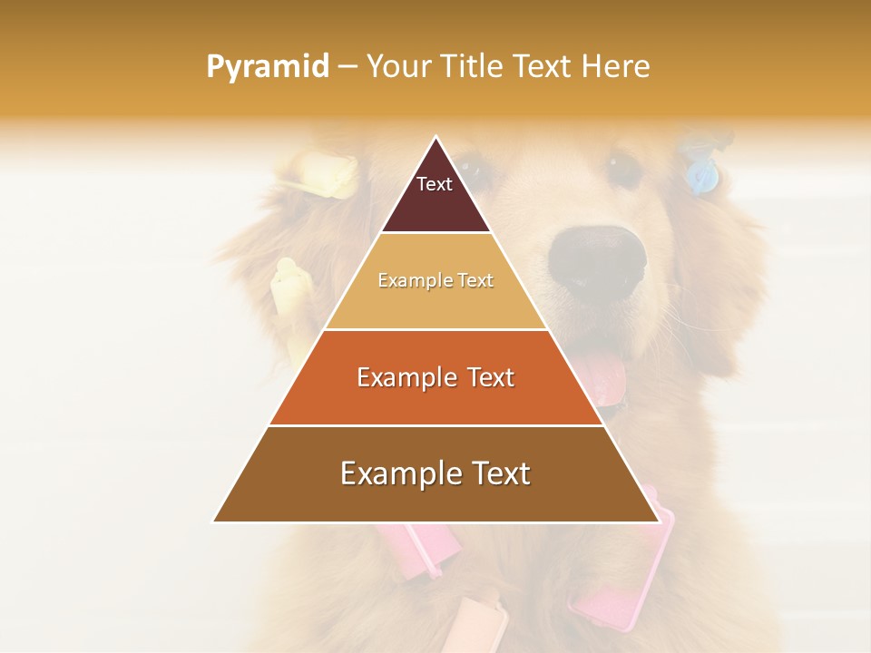 Stylish Tub Attached PowerPoint Template