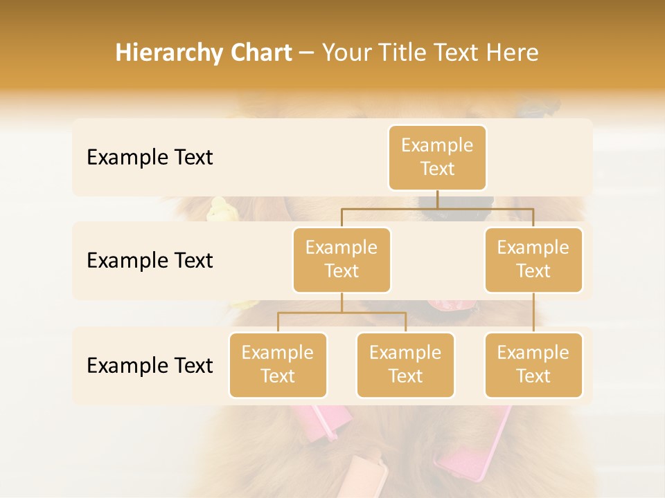Stylish Tub Attached PowerPoint Template