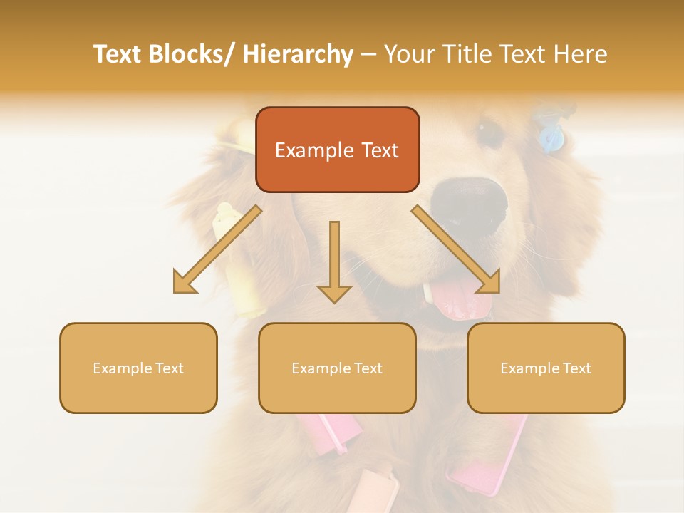 Stylish Tub Attached PowerPoint Template