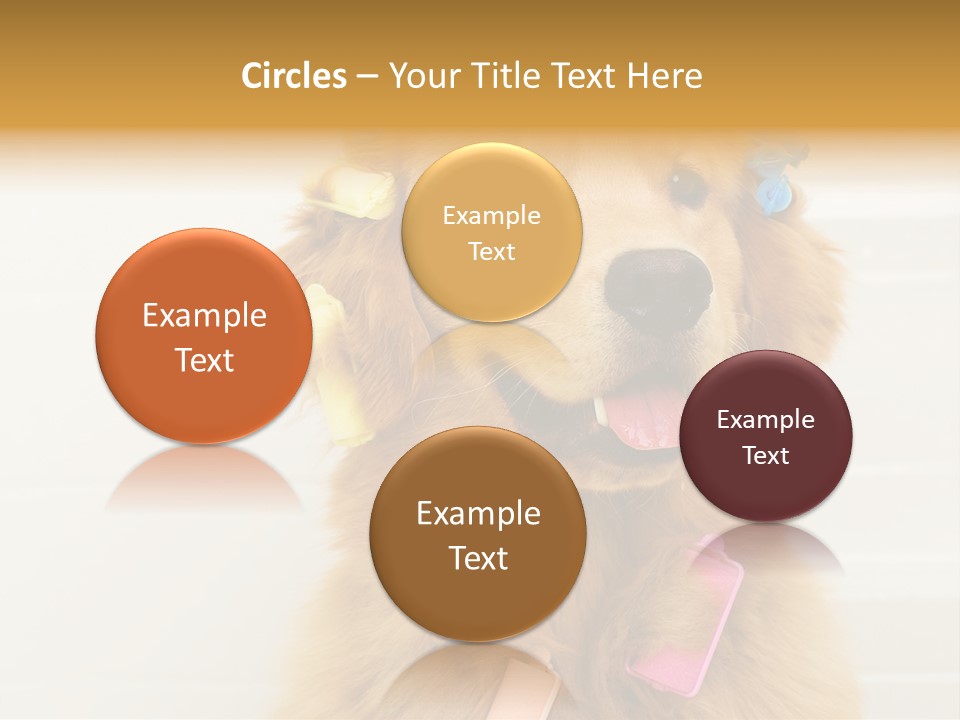 Stylish Tub Attached PowerPoint Template