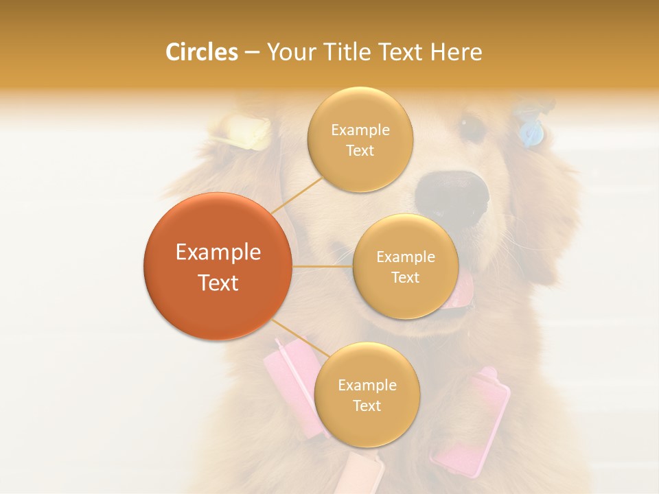 Stylish Tub Attached PowerPoint Template