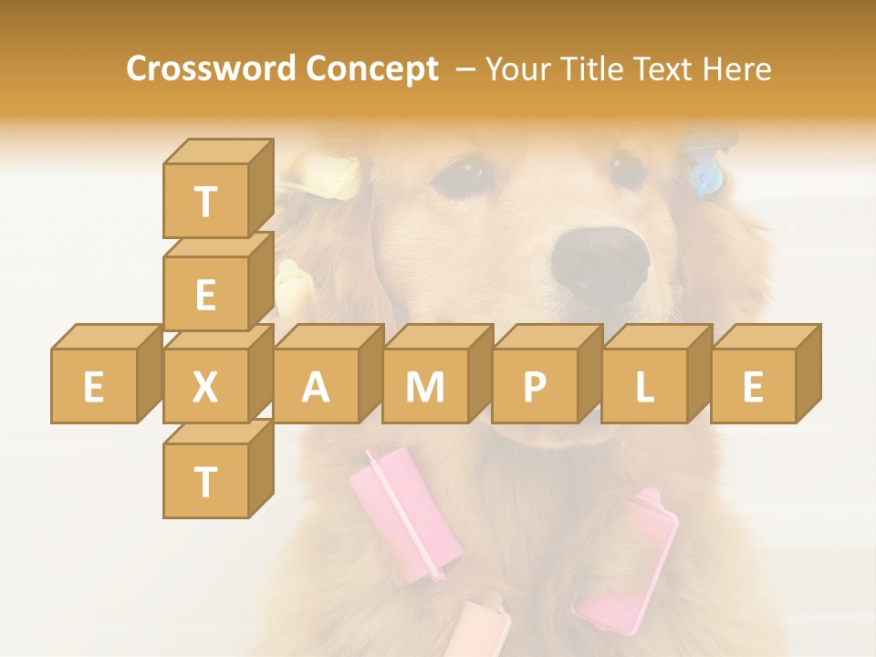 Stylish Tub Attached PowerPoint Template