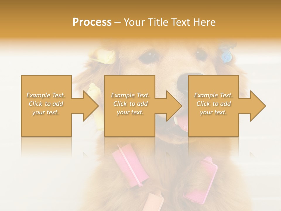 Stylish Tub Attached PowerPoint Template