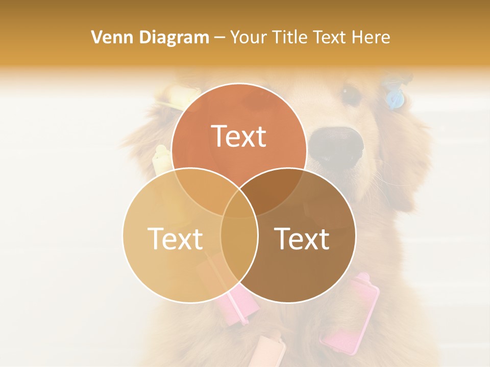 Stylish Tub Attached PowerPoint Template