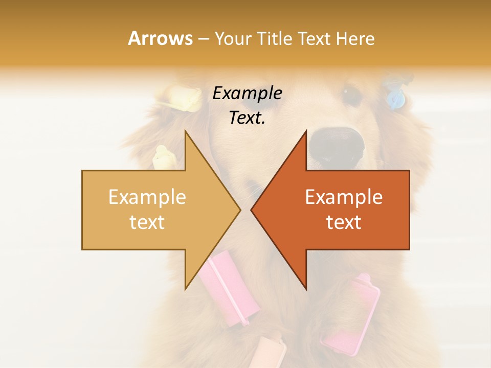 Stylish Tub Attached PowerPoint Template