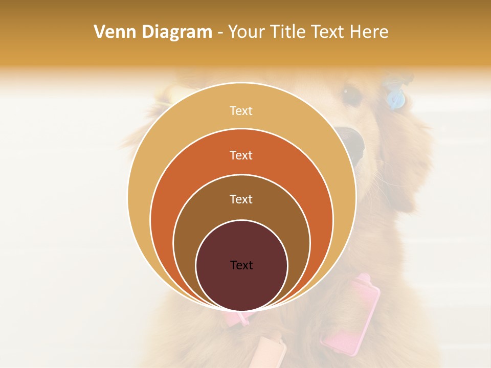 Stylish Tub Attached PowerPoint Template