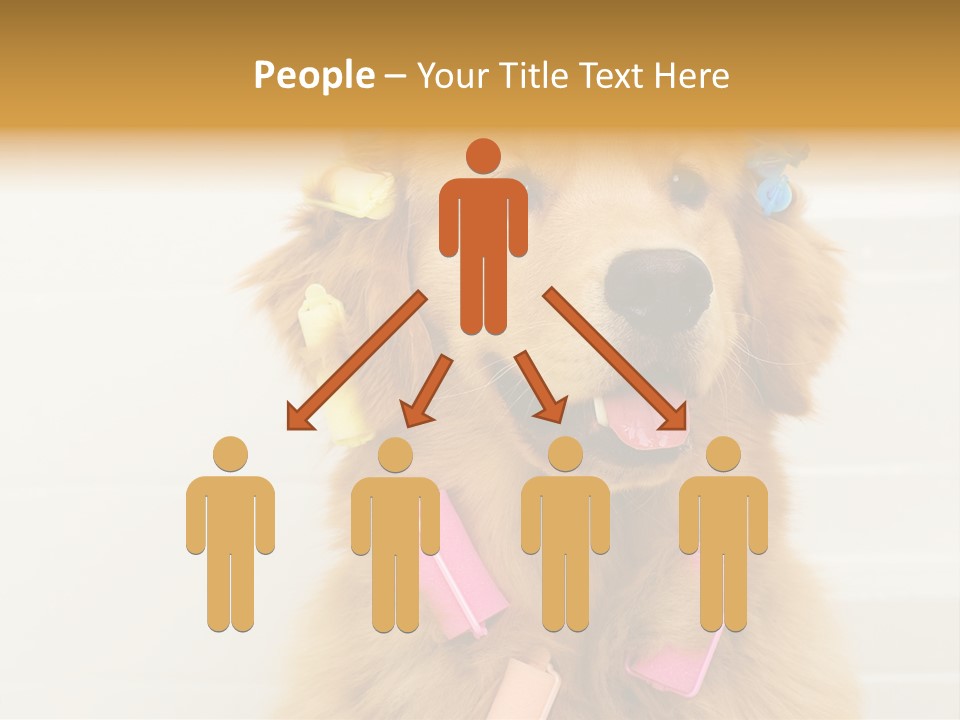 Stylish Tub Attached PowerPoint Template