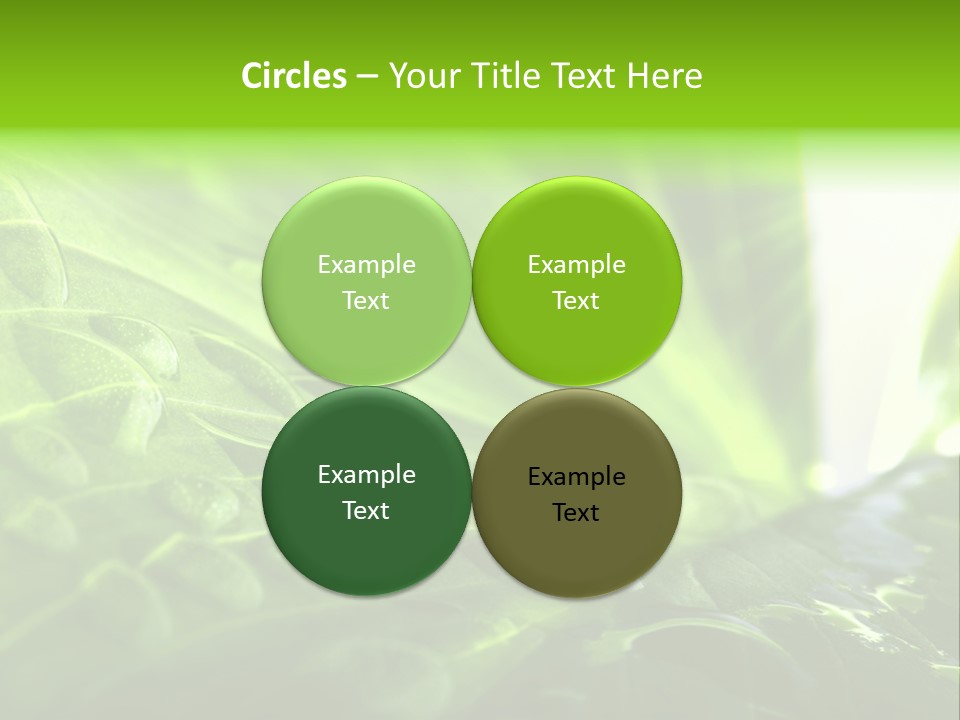 Natural Sky Pure PowerPoint Template