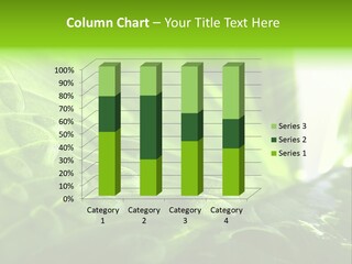 Natural Sky Pure PowerPoint Template