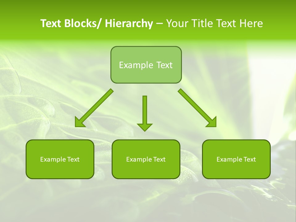 Natural Sky Pure PowerPoint Template
