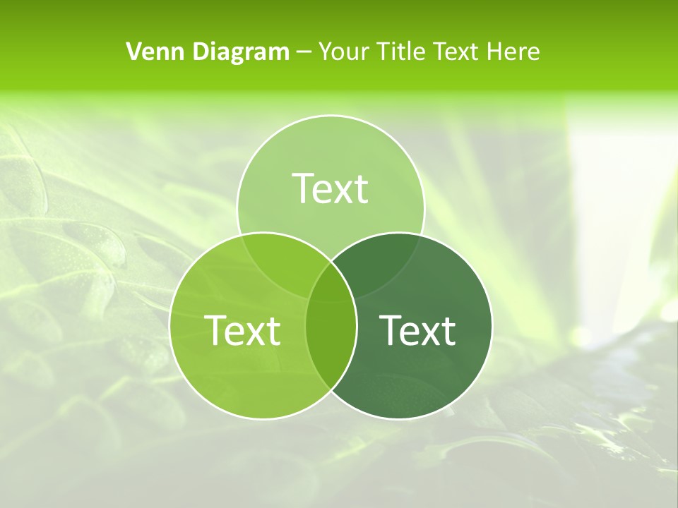 Natural Sky Pure PowerPoint Template