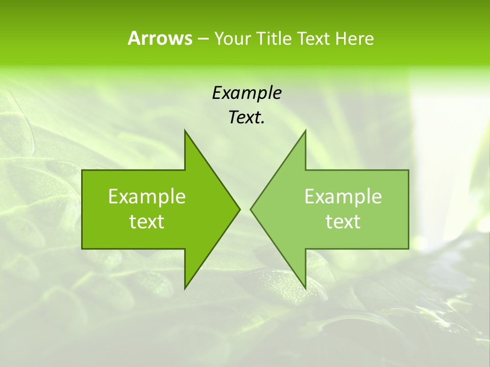 Natural Sky Pure PowerPoint Template