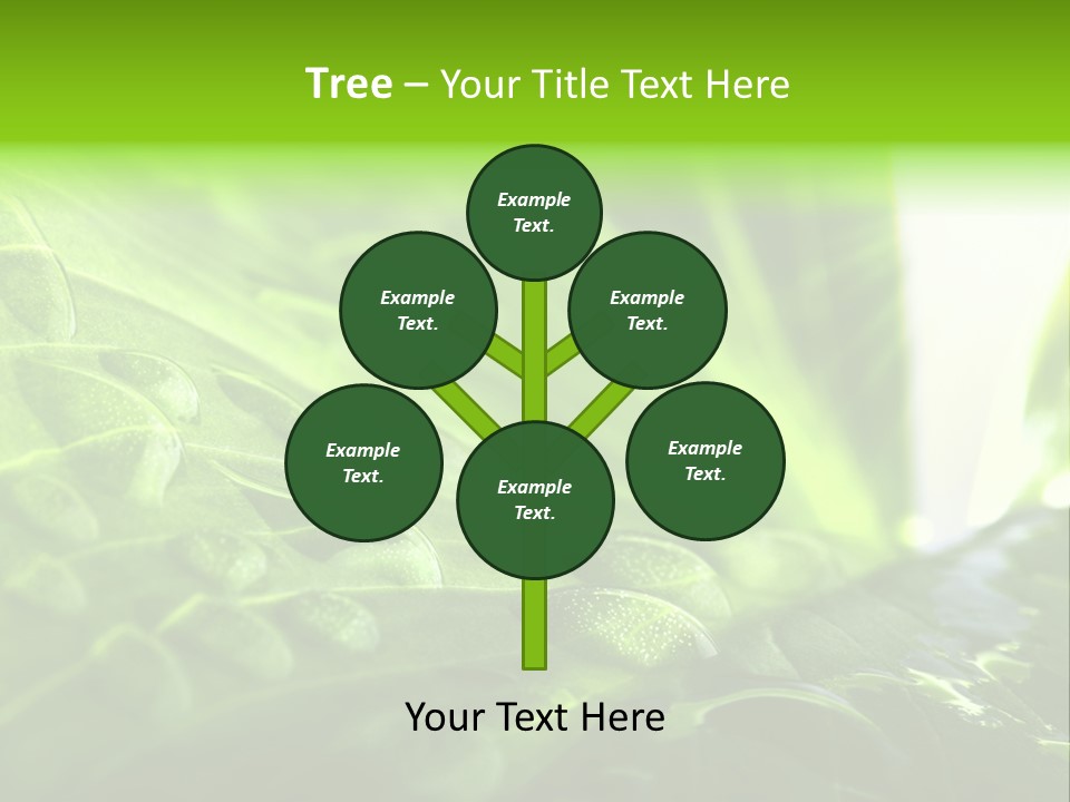 Natural Sky Pure PowerPoint Template