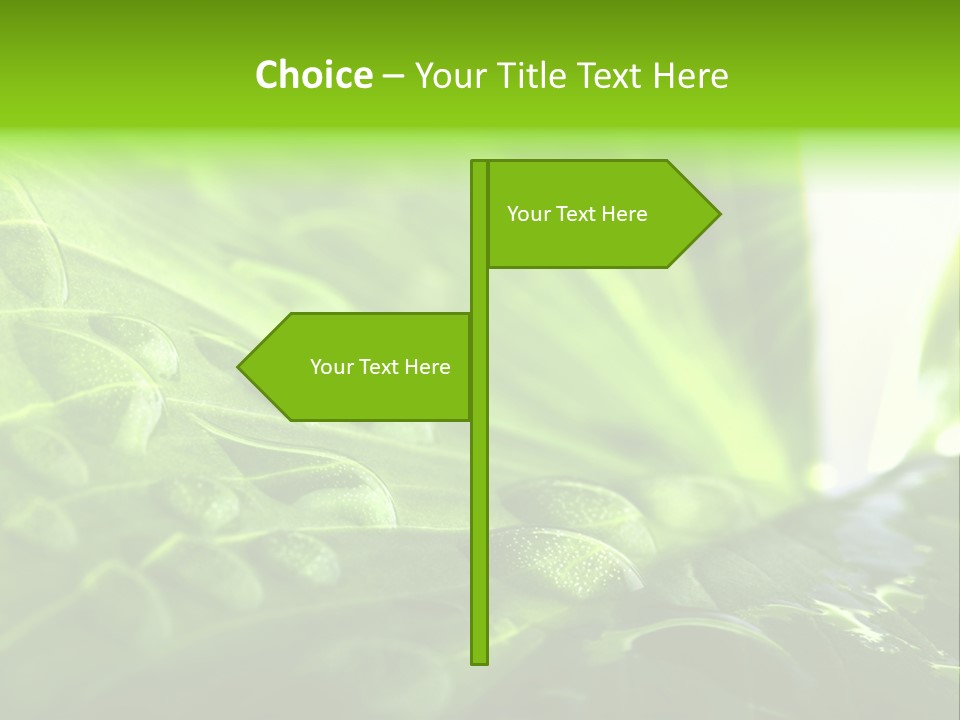 Natural Sky Pure PowerPoint Template