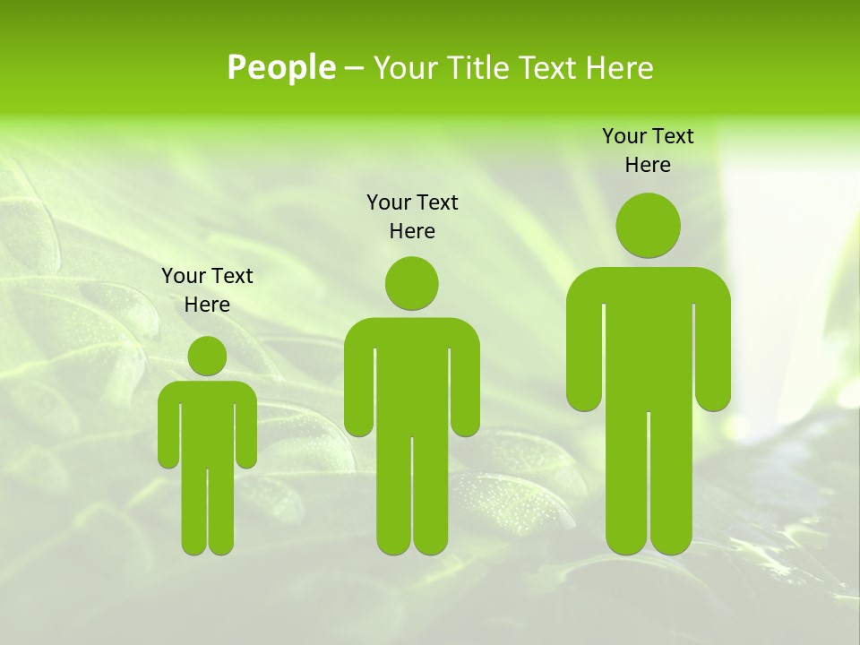 Natural Sky Pure PowerPoint Template