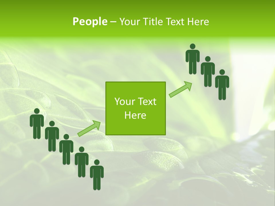 Natural Sky Pure PowerPoint Template