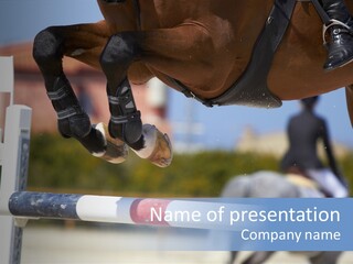 Thorough Bred Equestrian White PowerPoint Template