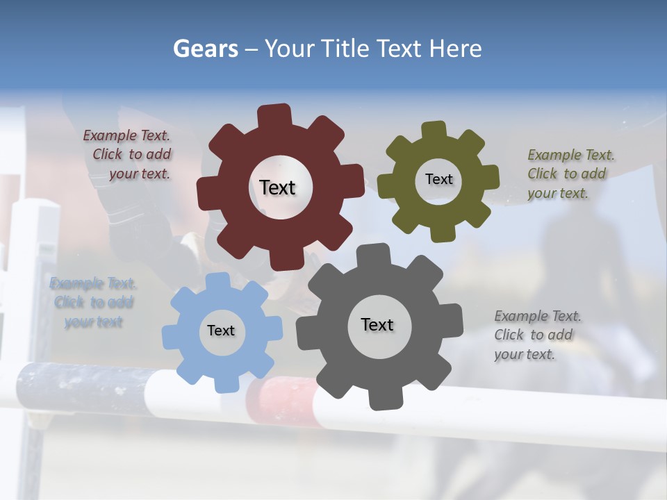 Thorough Bred Equestrian White PowerPoint Template