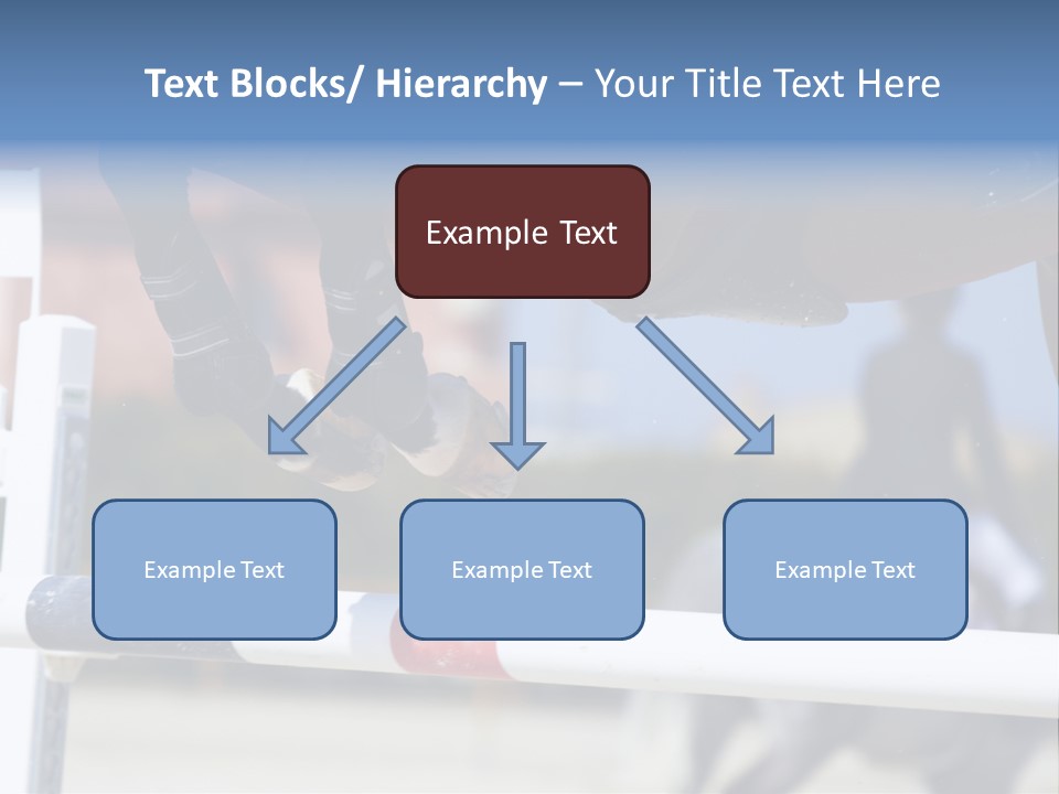 Thorough Bred Equestrian White PowerPoint Template