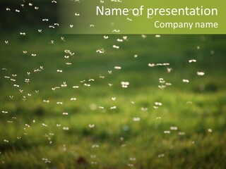 Cloud Animal Environment PowerPoint Template