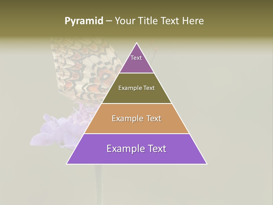 Didyma Creature Environment PowerPoint Template