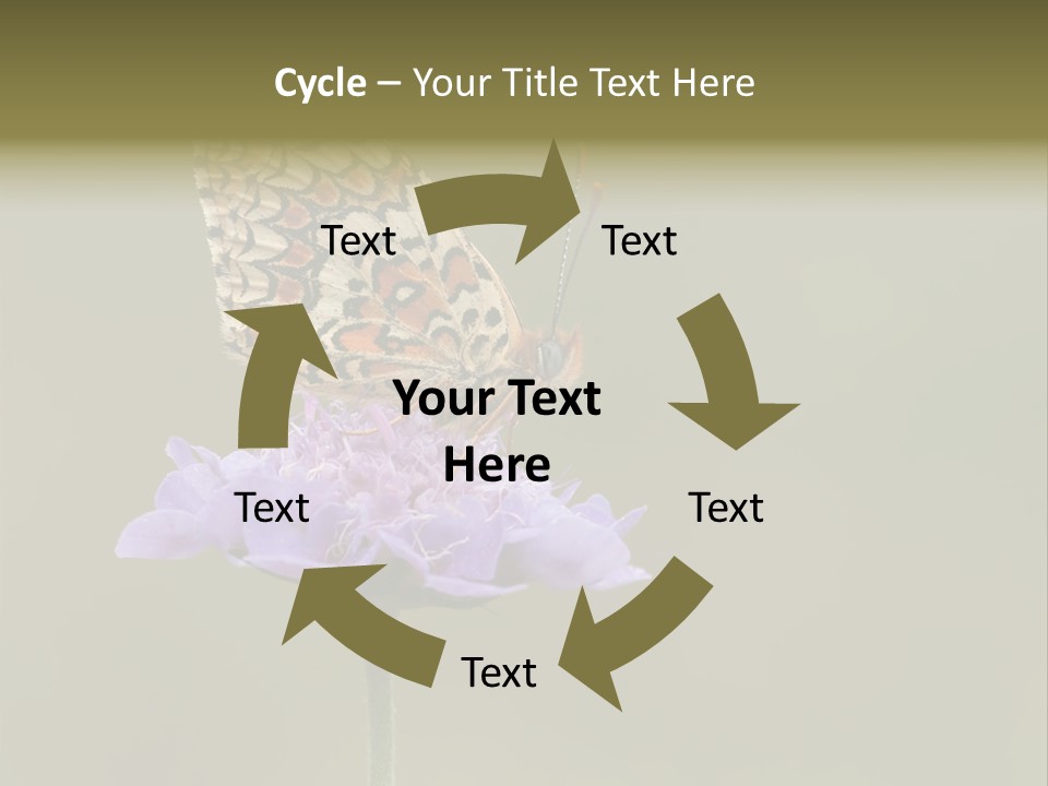 Didyma Creature Environment PowerPoint Template