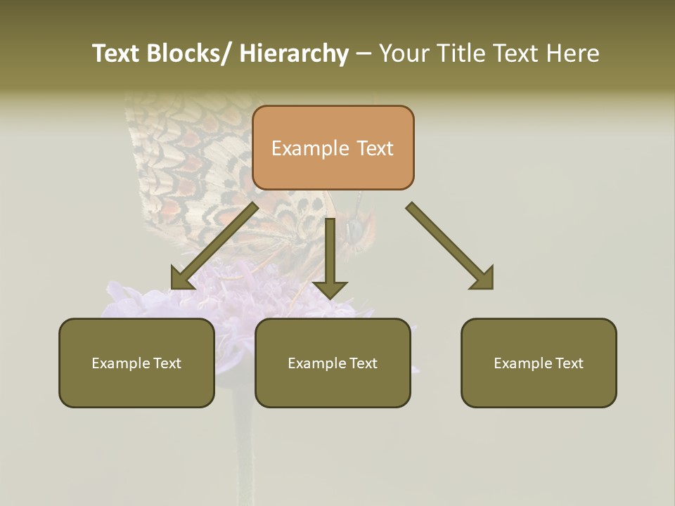 Didyma Creature Environment PowerPoint Template