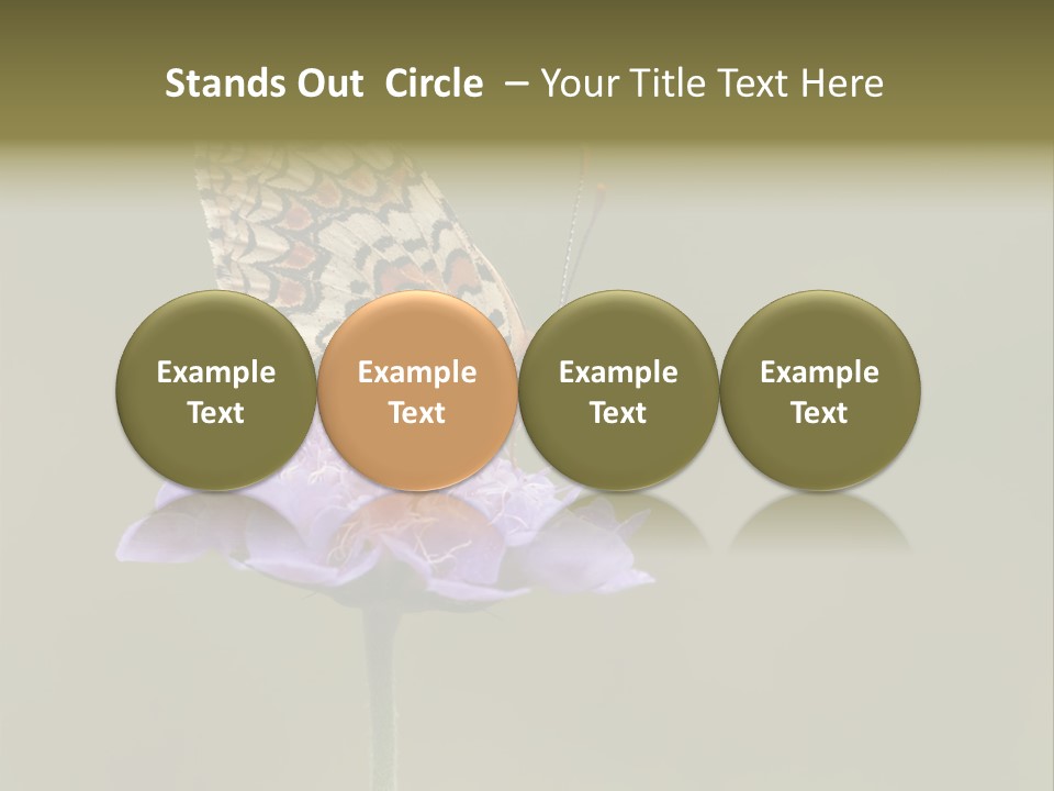 Didyma Creature Environment PowerPoint Template