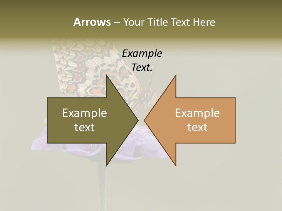 Didyma Creature Environment PowerPoint Template