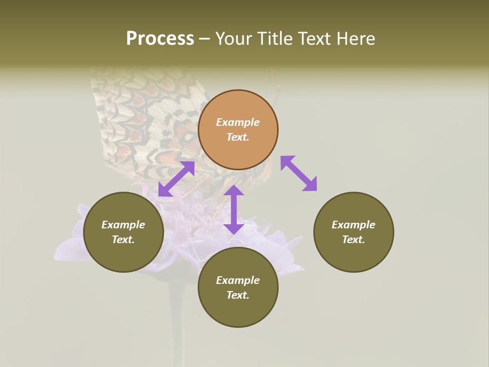 Didyma Creature Environment PowerPoint Template