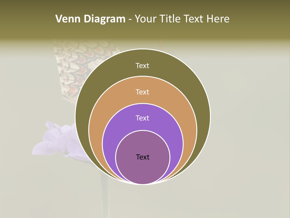 Didyma Creature Environment PowerPoint Template