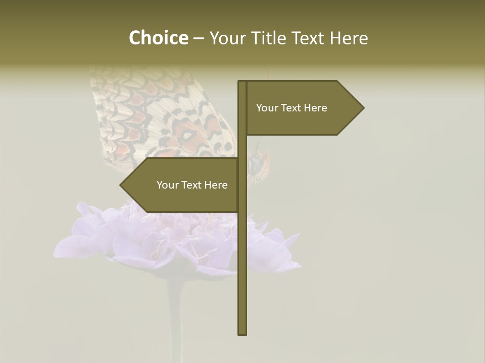 Didyma Creature Environment PowerPoint Template