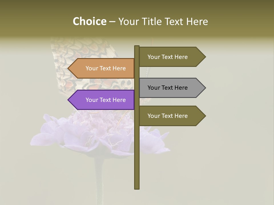 Didyma Creature Environment PowerPoint Template