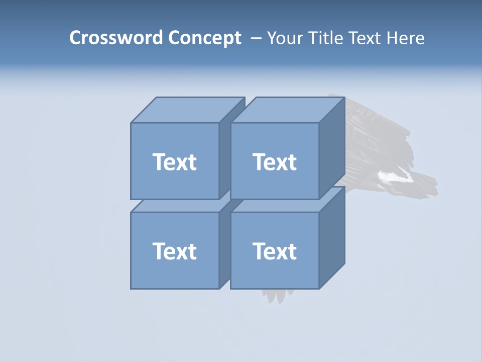 Animal Photography Canada Goose Brown PowerPoint Template