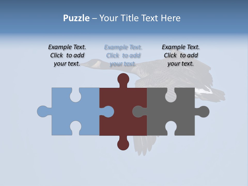 Animal Photography Canada Goose Brown PowerPoint Template