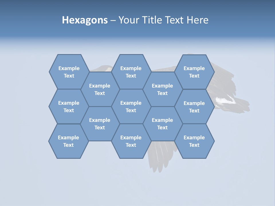 Animal Photography Canada Goose Brown PowerPoint Template