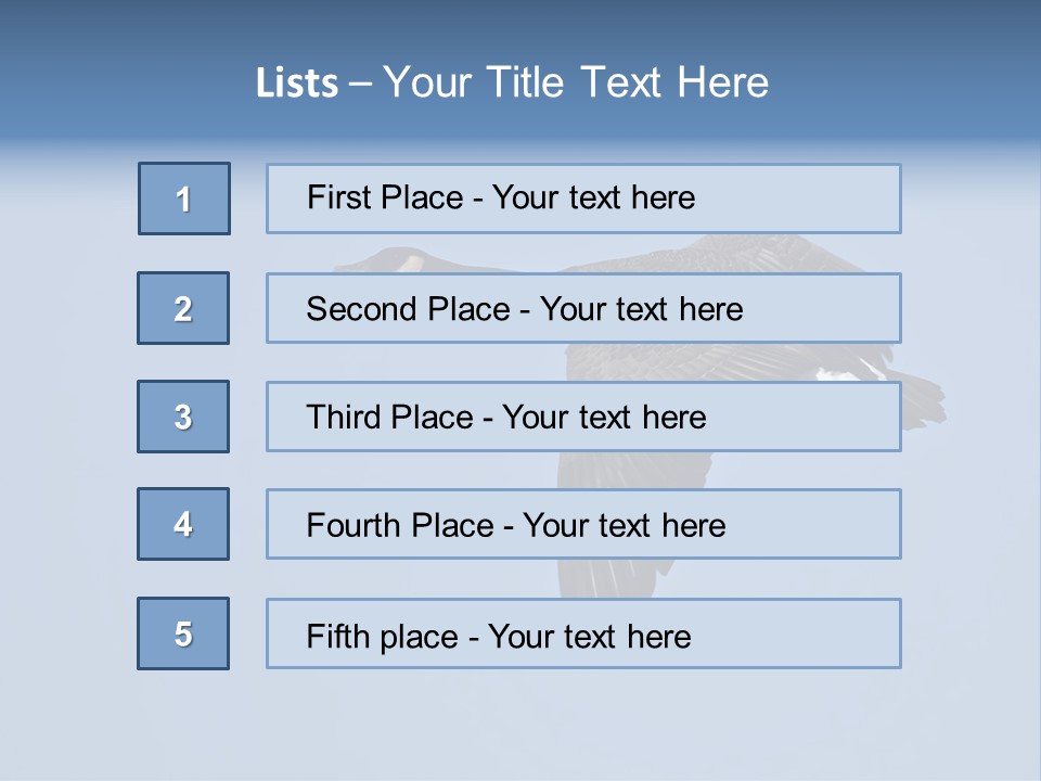 Animal Photography Canada Goose Brown PowerPoint Template